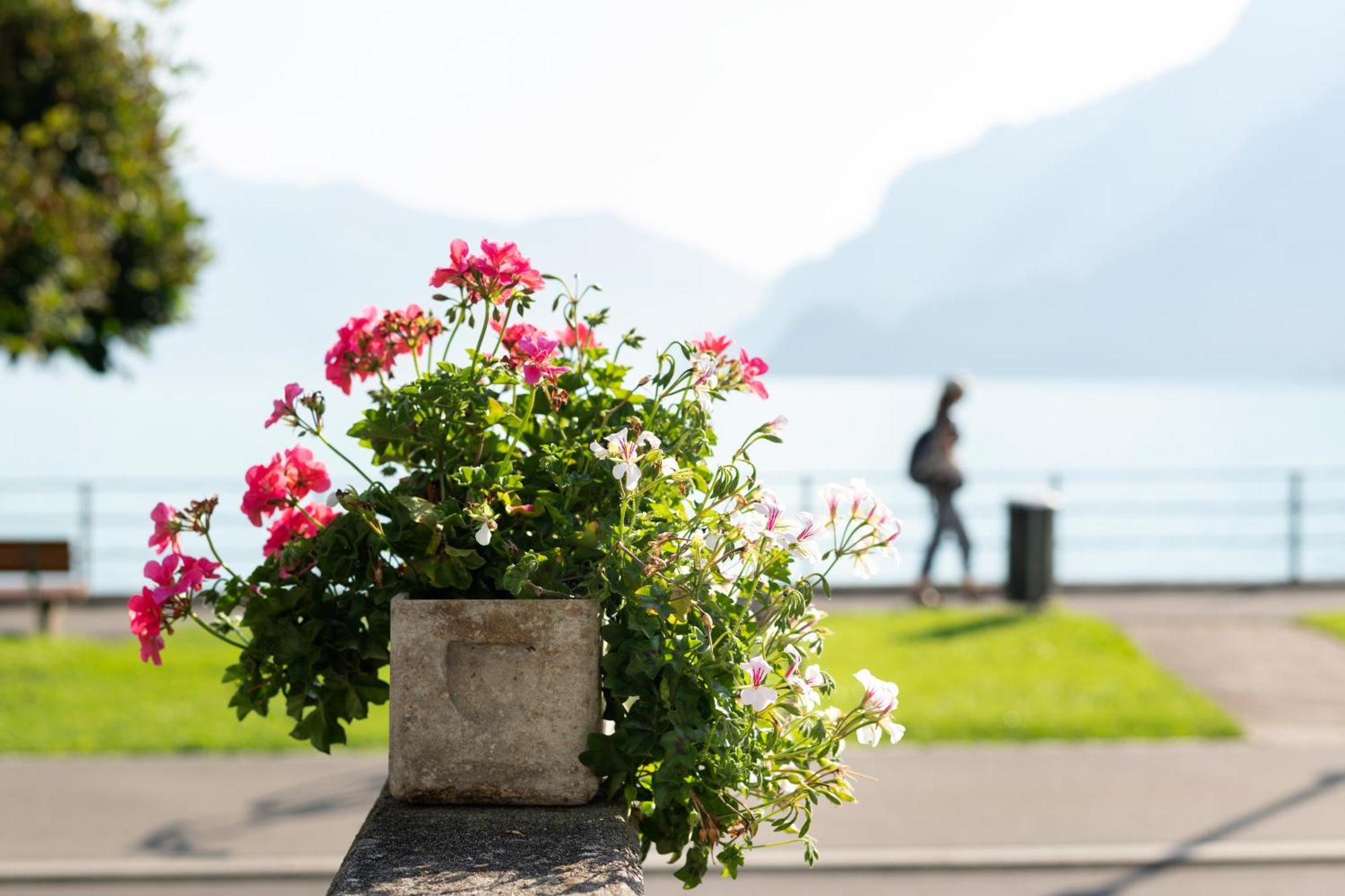 Seiler Au Lac Bönigen Buitenkant foto